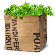 Kit de Plantao Salada Bio - Bowl Green